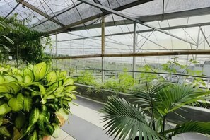 Interior - Cameron Farm House (Ulu Telom)