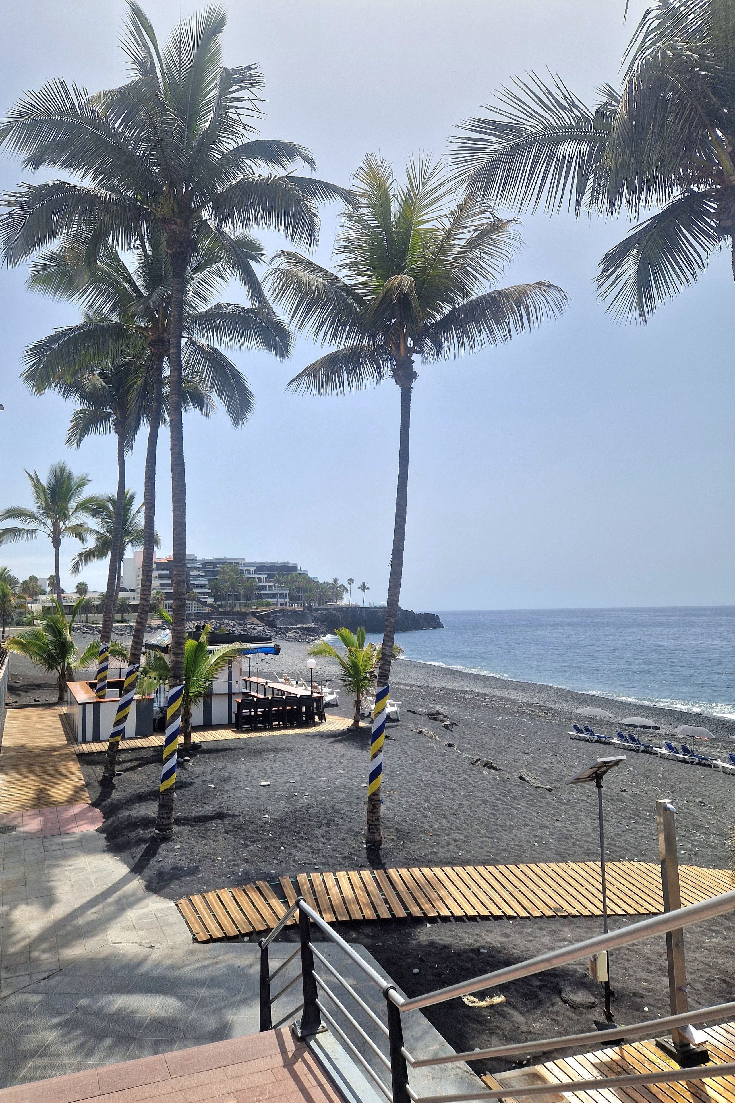 A beach with palm trees, a wooden deck, and a view of the ocean.