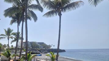 A beach with palm trees, a wooden deck, and a view of the ocean.