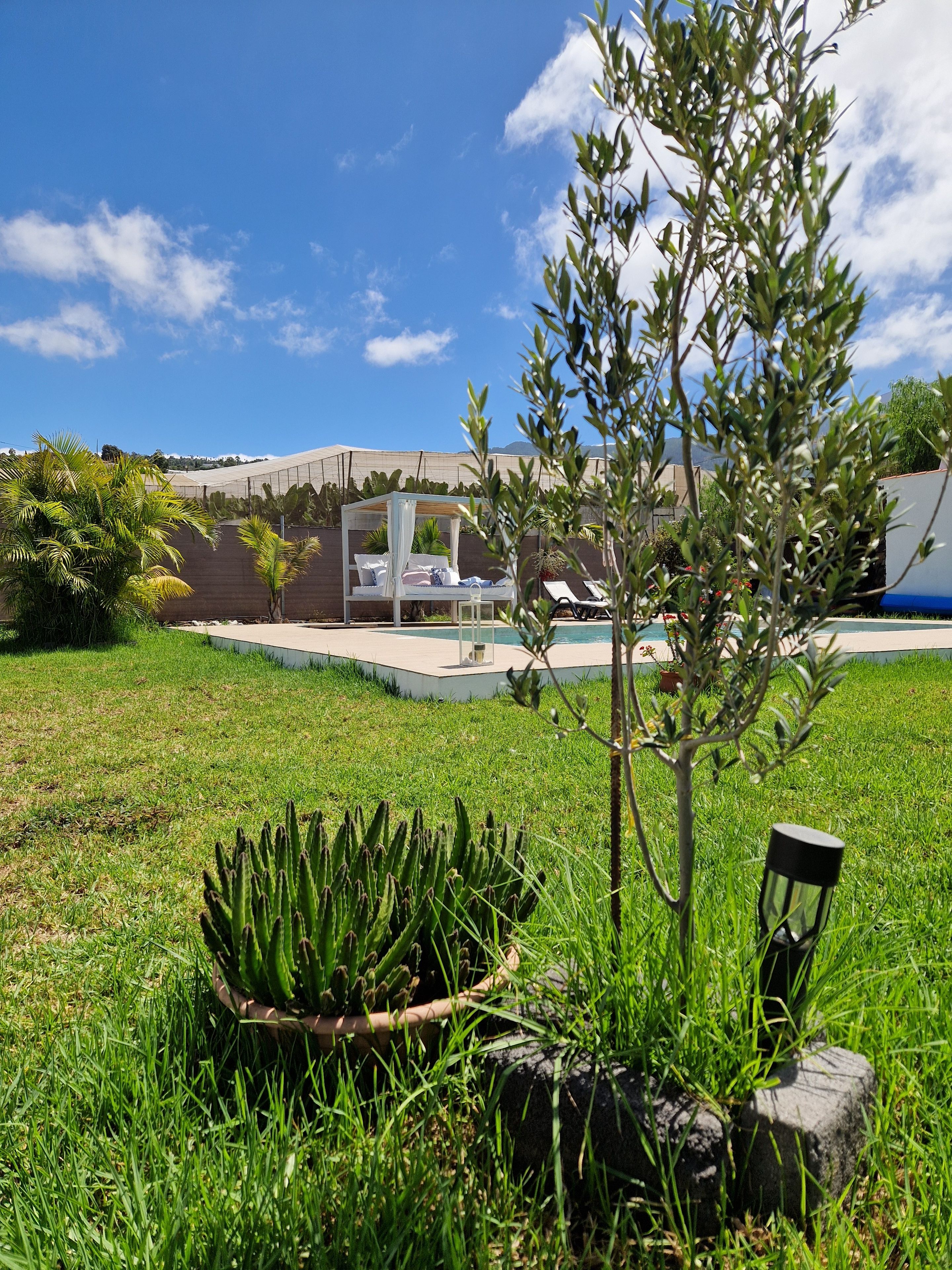 Un jardín con un parterre de cactus, una banca y una zona de piscina con sillones de descanso.