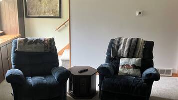 TV, fireplace, books