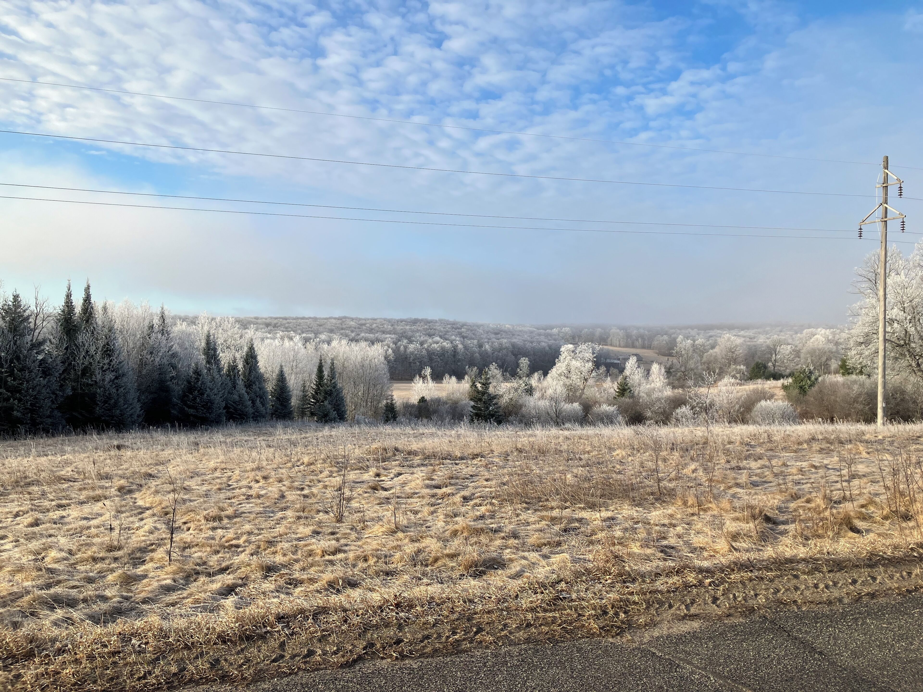 A rural landscape with a clear sky, power lines, and frost-covered trees.