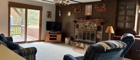 Télévision, cheminée, livres