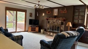 Televisión, chimenea, libros