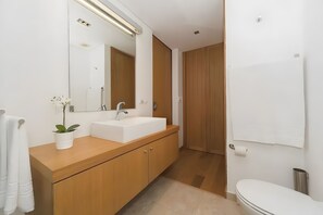 Shower, hair dryer, towels