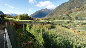 A rural landscape with a road, fields, and a mountain backdrop.