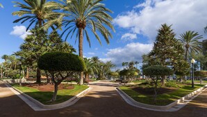 Ein Park mit Palmen, Bänken und blauem Himmel.