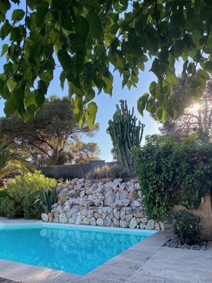 Una piscina rodeada por un muro de piedra, con un cactus y diversas plantas al fondo.