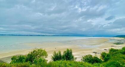 Waterfowl with their feet in the water