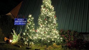 Un árbol de Navidad decorado con luces y adornos, un cartel que dice "Welcome to Ann Cottage" y una casa pequeña al fondo.
