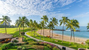 Un resort sulla spiaggia con un viale alberato di palme, una zona verde e vista sull'oceano.