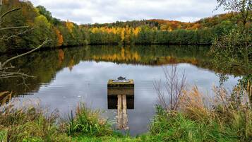 A calm lake with a dock extending into the water, surrounded by autumn-colored trees.
