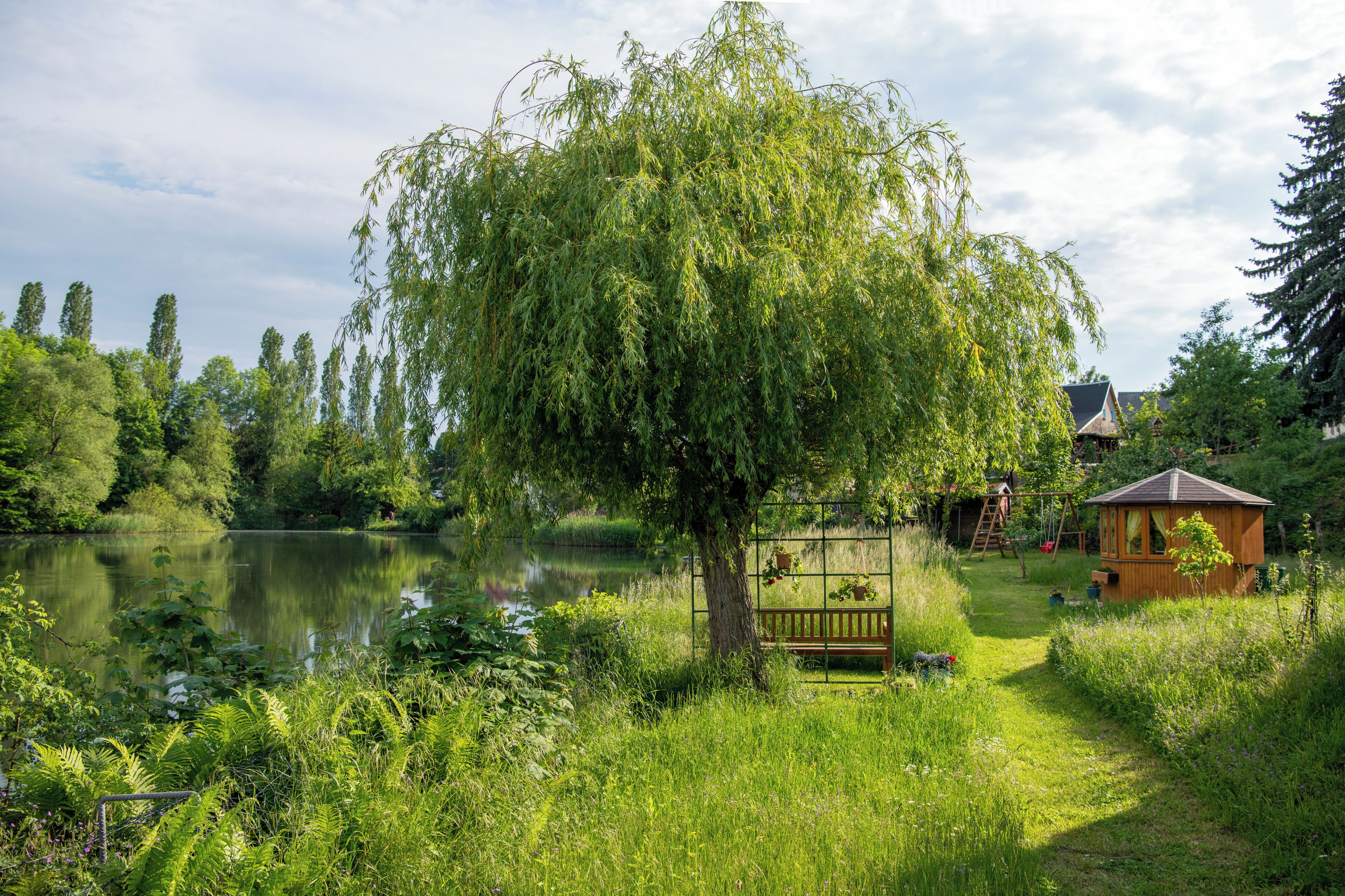 Terrein van de accommodatie