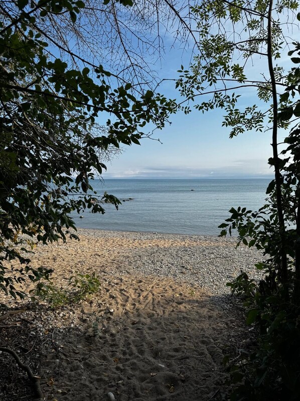 بالقرب من الشاطئ