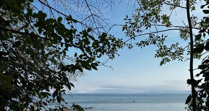 Beachwood Heights- close to the Beach and Blue Mountain