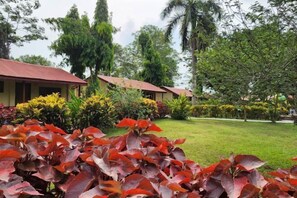 Garden - Chitwan Park Resort (Ratnanagar)