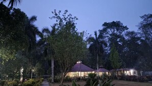 Un chemin menant à un bâtiment doté d’un toit rouge, entouré d’arbres et de verdure.
