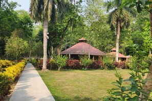Garden - Chitwan Park Resort (Ratnanagar)