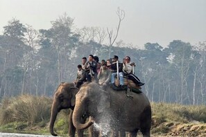 Miscellaneous - Chitwan Park Resort (Ratnanagar)