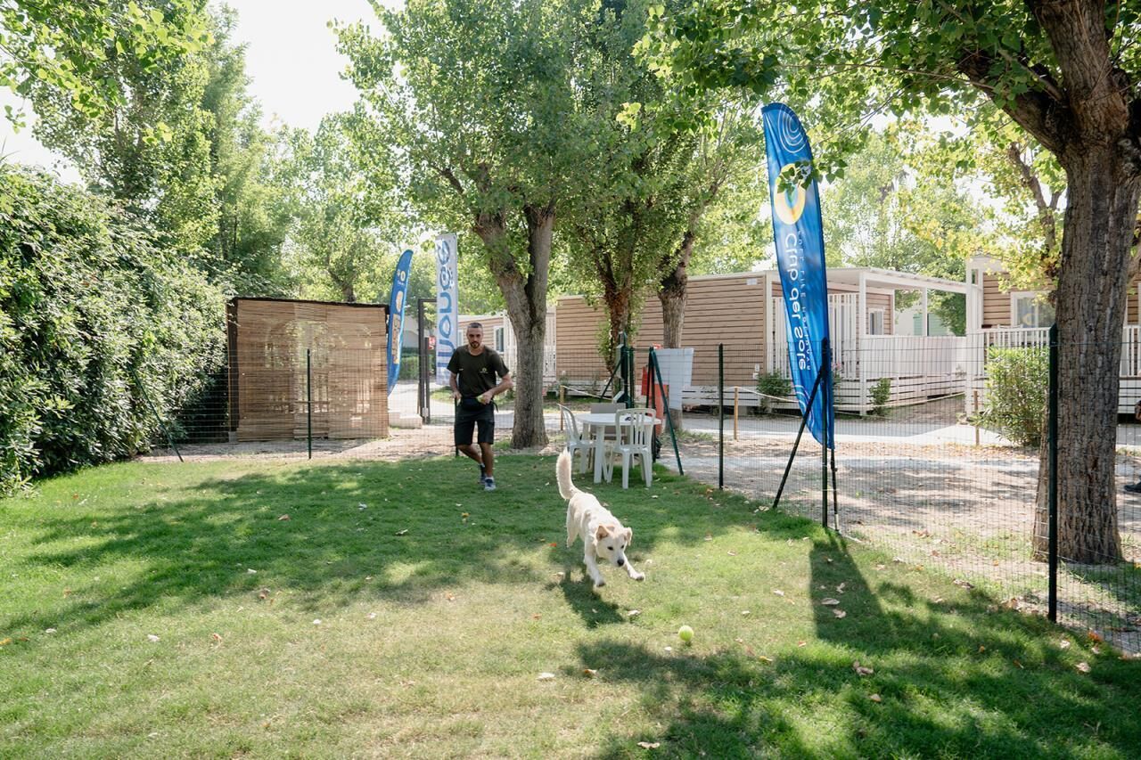 A grassy outdoor area with trees, a fenced area, and a person with a dog.