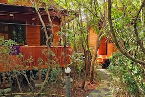 Una cabana de fusta amb un porxo, envoltada de vegetació densa.