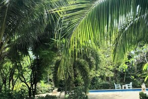 A lush garden with palm trees, a pool, and outdoor seating. - Samran Resort (Phuket)