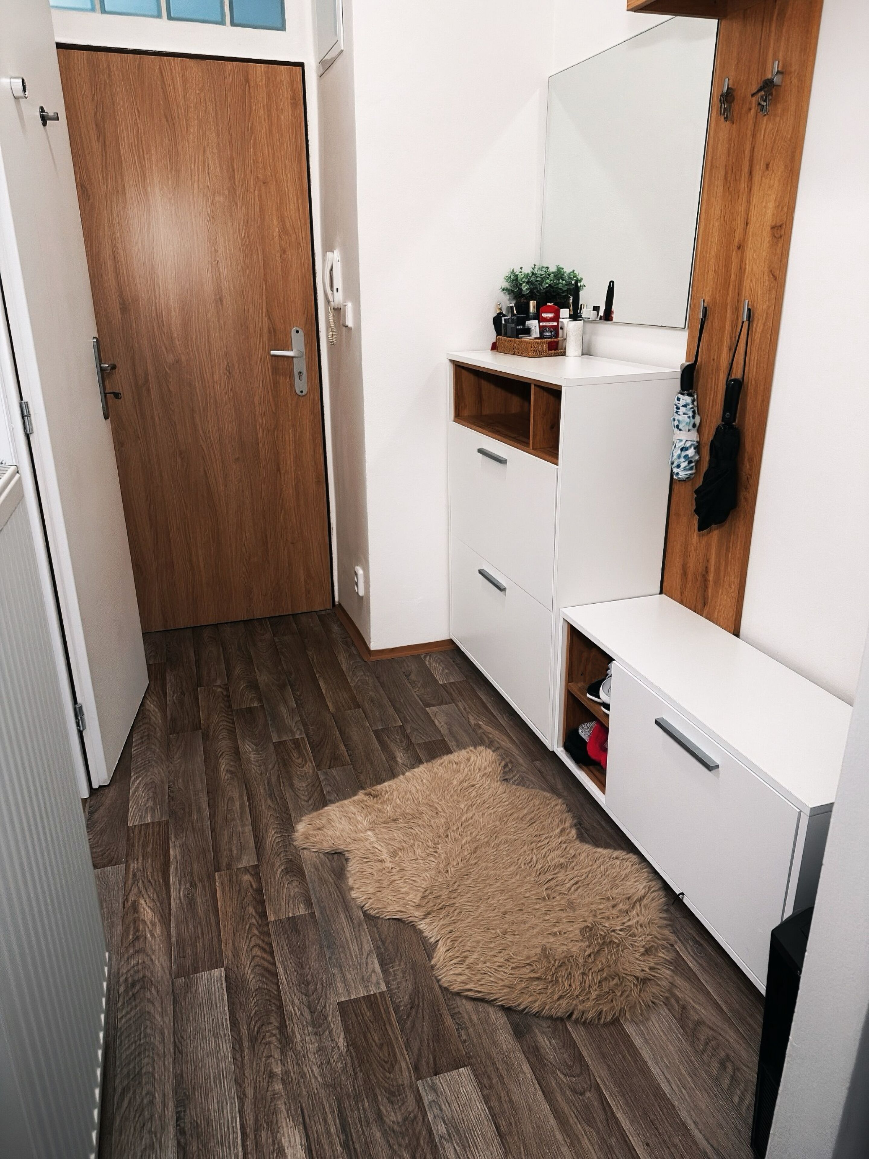 Apartment, 1 Bedroom, Smoking, River View | Interior