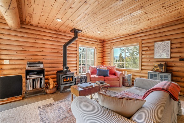 Fireplace, books, music library