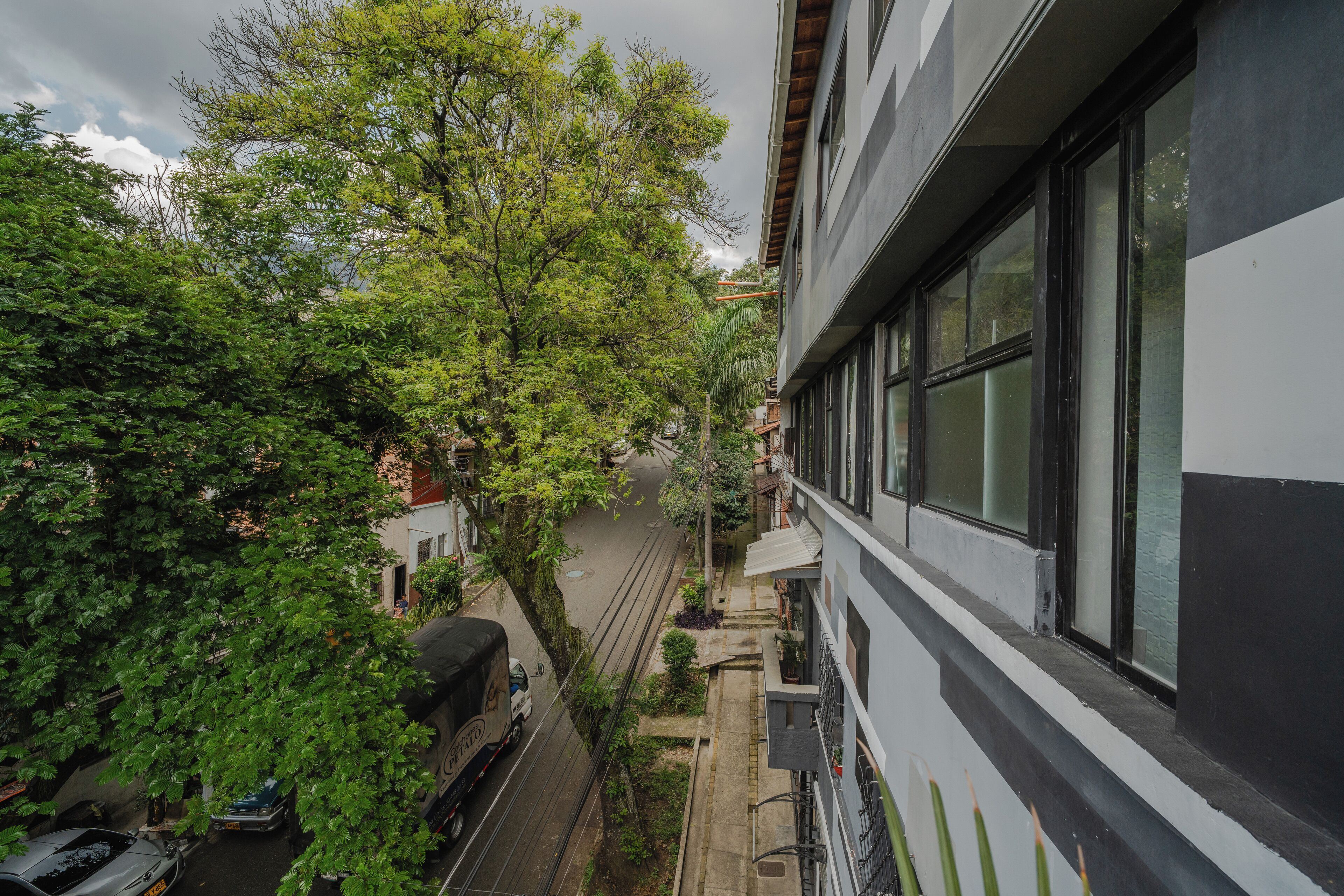 A narrow street with parked cars and a truck, flanked by lush green trees and a building with large windows.