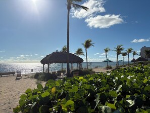 Plage, chaises longues