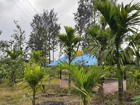 Property grounds - S R Retreat – 1 BR Apt 3 (Muthur)