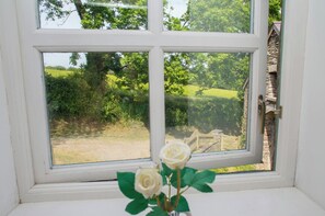 A window with a view of a green landscape and a stone wall.