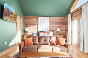 Älytelevisio, takka, kirjoja, musiikkikirjasto