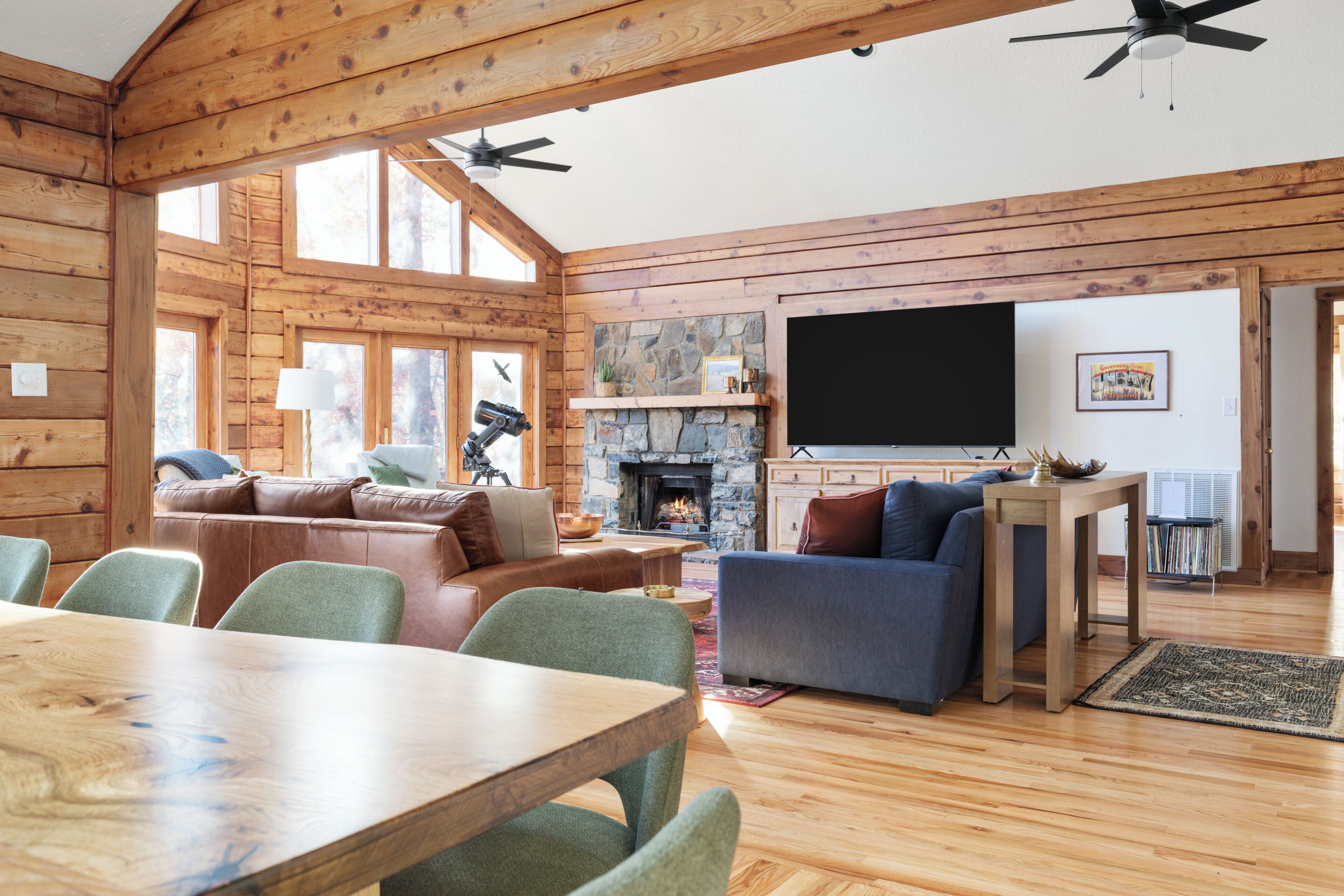 Smart TV, fireplace, books, music library