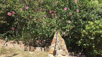 Àrea exterior de l'allotjament