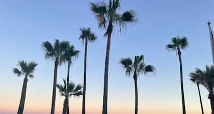 Private Villa in 1/2 Acre Of Sub-Tropical Gardens. Superb Sea Views & Large Pool