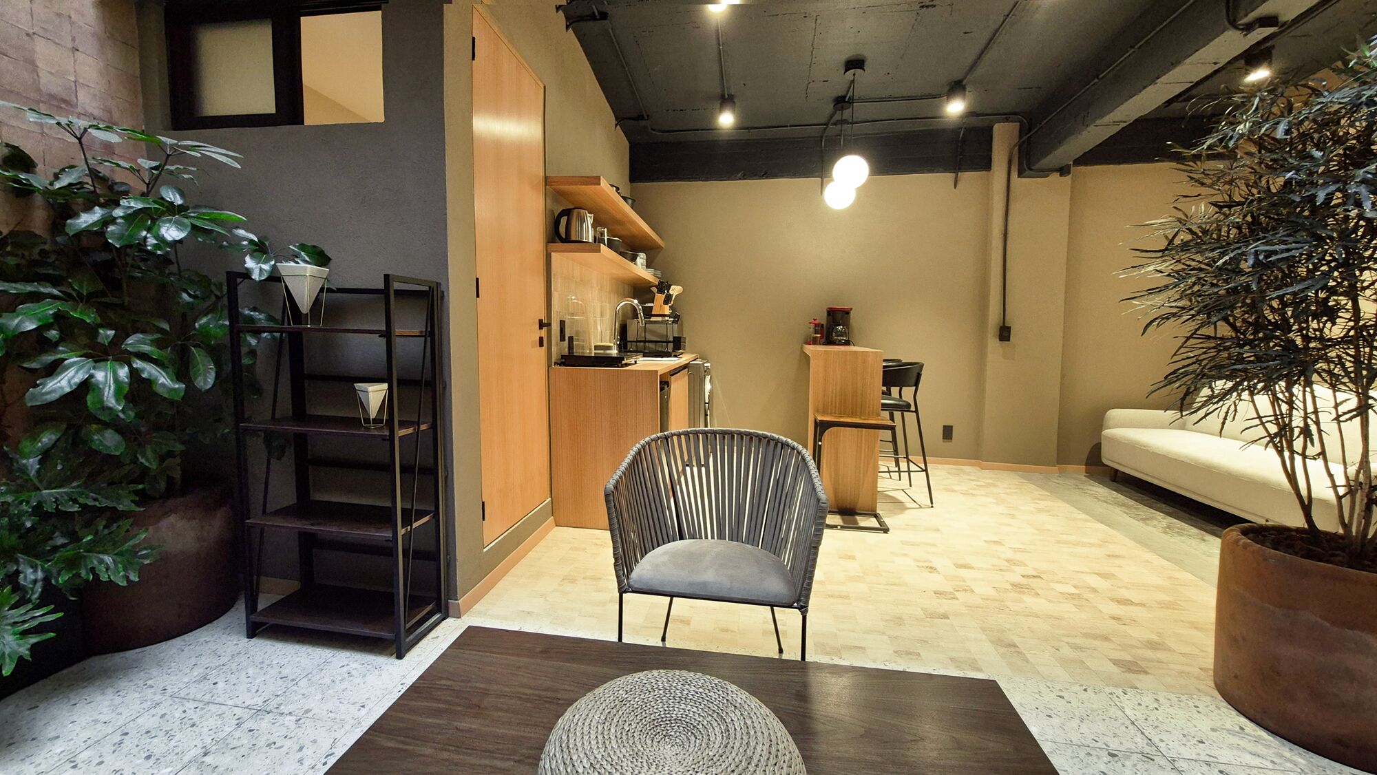 Un interior moderno con una zona de cocina, un área de descanso con sofá y sillas, y una planta grande en maceta.