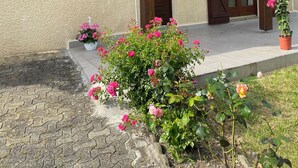 Une maison avec un toit en pente, une fenêtre avec des barreaux et une porte ornée d’un pot de fleurs suspendu.