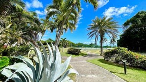 Un sentier bordé de palmiers et de plantes d’agave, qui mène à une zone herbeuse sous un ciel d’un bleu limpide.