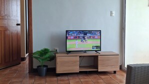 A living room with a television on a wooden stand, a potted plant, and a wicker chair.