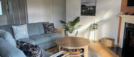 Televisión y chimenea