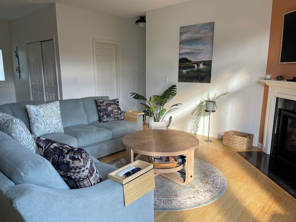 Televisión y chimenea 