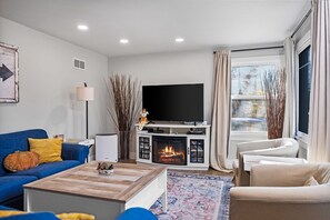 TV, fireplace, books, stereo