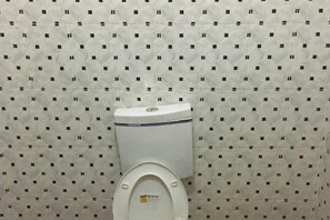 Douche, serviettes fournies, savon, papier de toilette