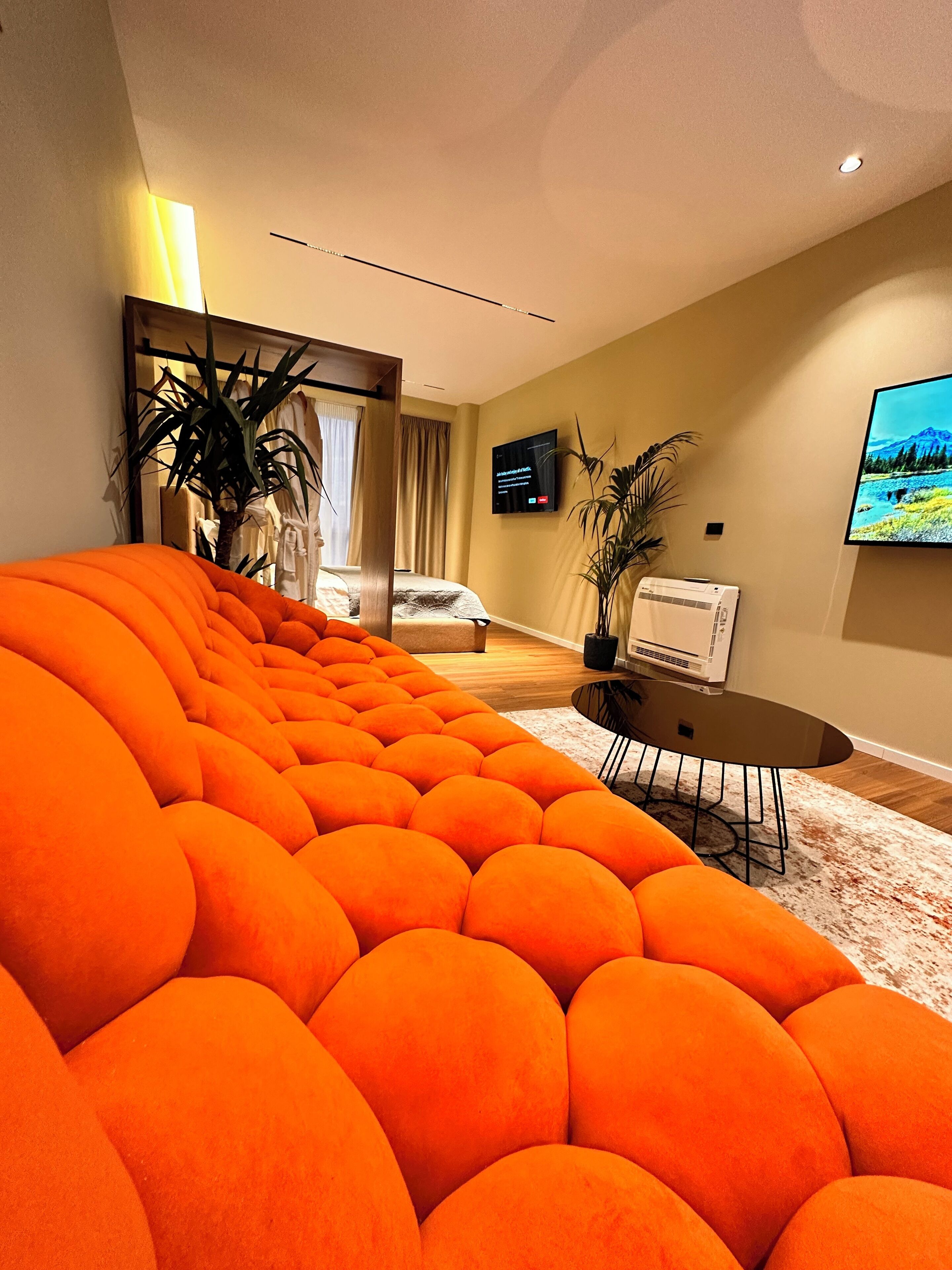 Phòng Suite Deluxe | Khu phòng khách | Smart TV 40-cm có truyền hình kỹ thuật số 