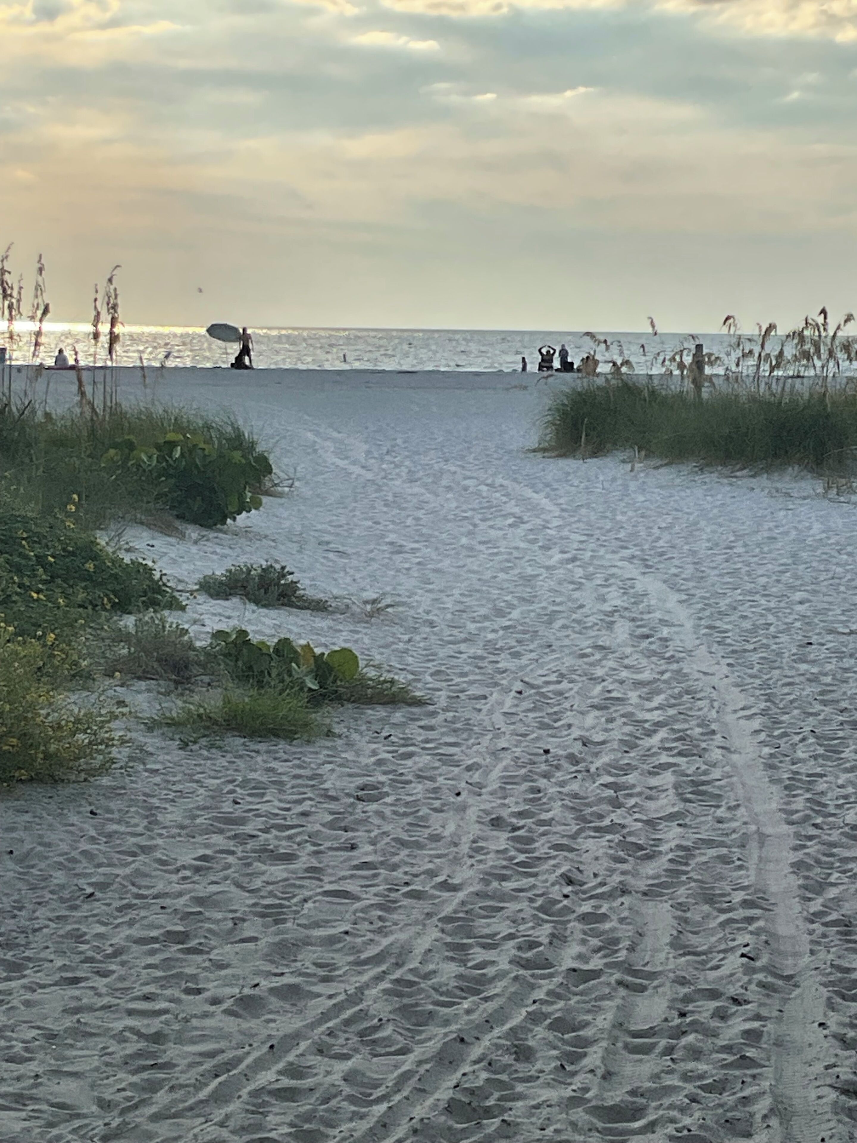 Un sentier de sable qui longe la plage et mène à l’océan, avec une végétation clairsemée de part et d’autre.