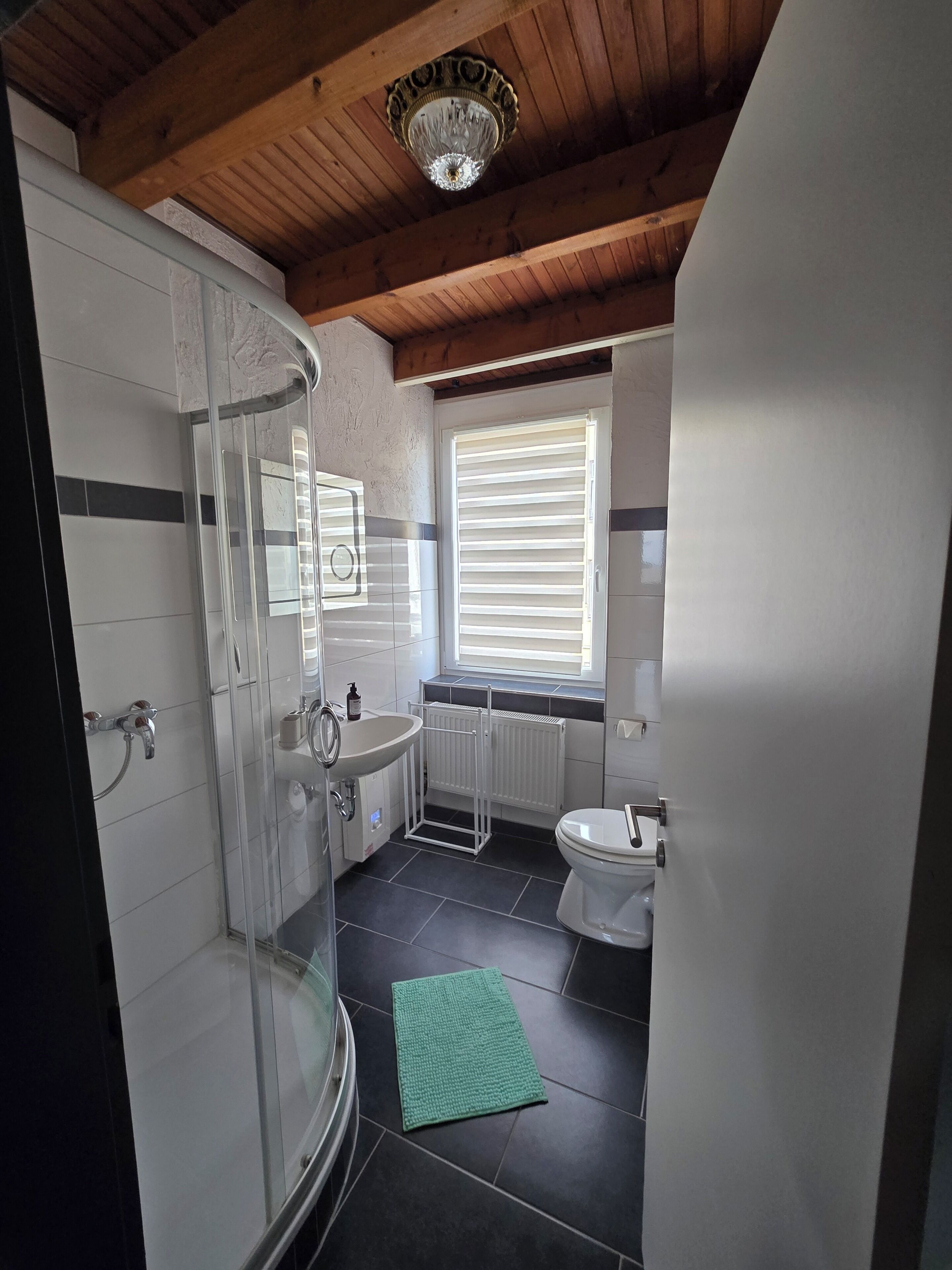 Shower, towels, toilet paper