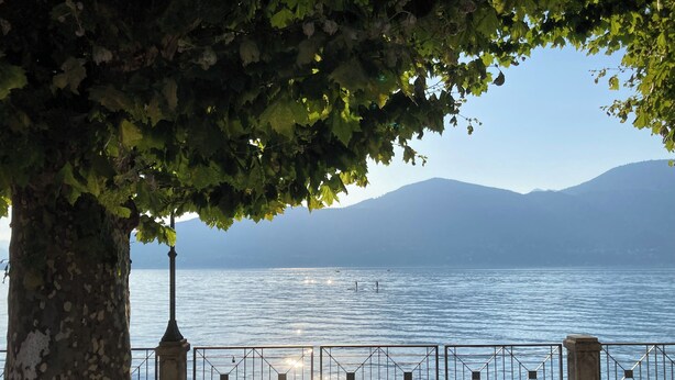 A paved waterfront promenade with a bench, metal railing, and a tree providing shade. - Villa Giulia apartment Vista Verde 5 min from the lake and town (Porto Valtravaglia)