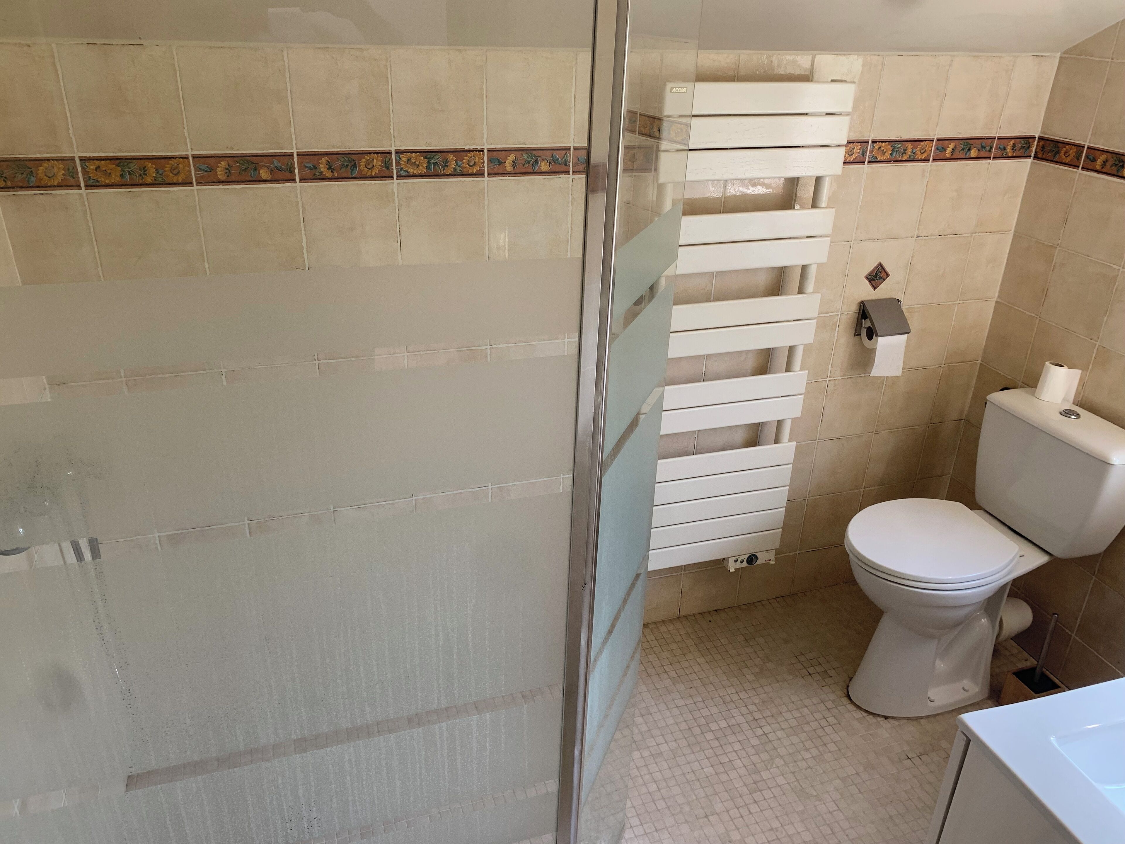 A bathroom with a toilet, a glass shower enclosure, and a towel rack.
