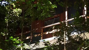 Un immeuble à plusieurs étages, doté d’une façade en bois et entouré d’une végétation luxuriante.